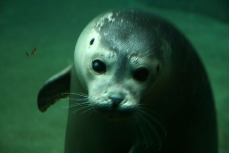 Frankfurt Zoo