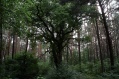 Nationalpark Mritz