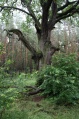 Nationalpark Mritz