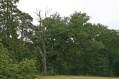 Nationalpark Mritz