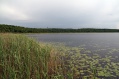 Nationalpark Mritz