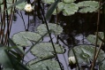 Nationalpark Mritz