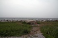 Ruegen