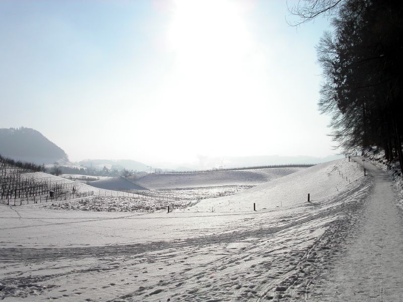 Behind Mannenberg