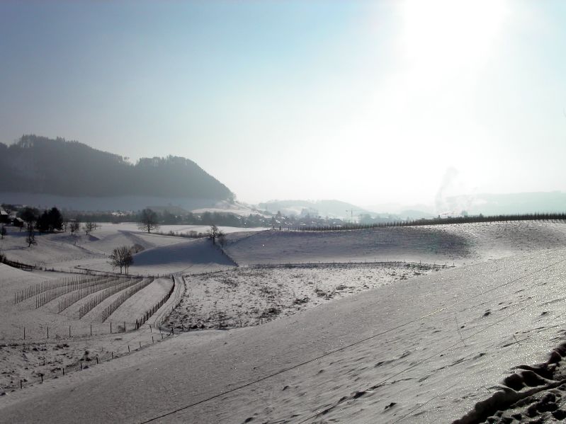 Behind Mannenberg