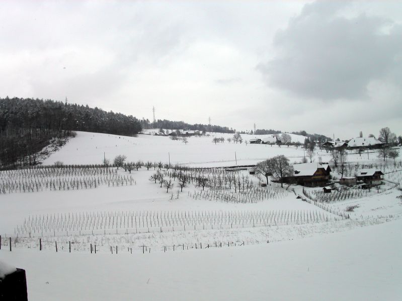 Ittigen