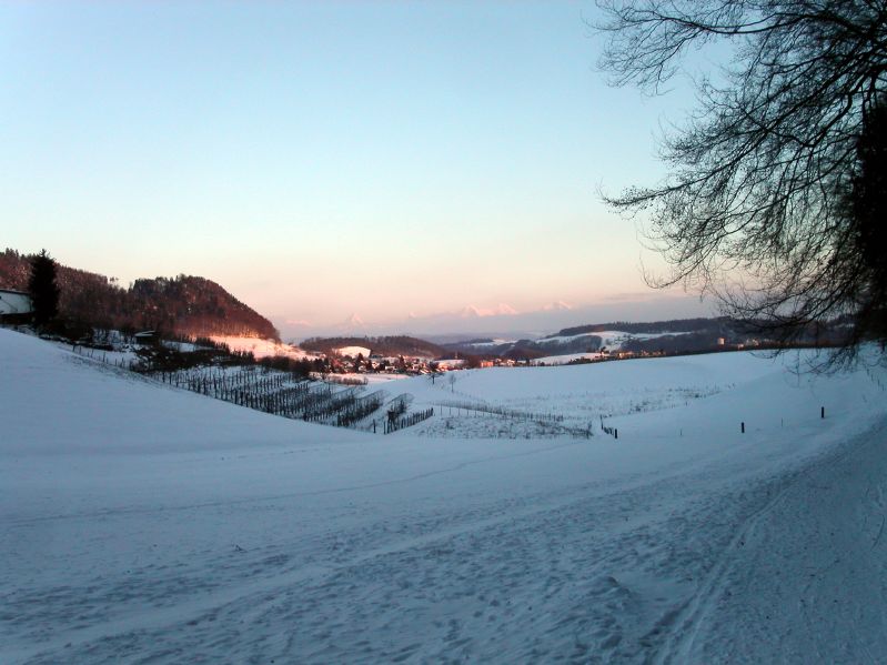 Behind Mannenberg