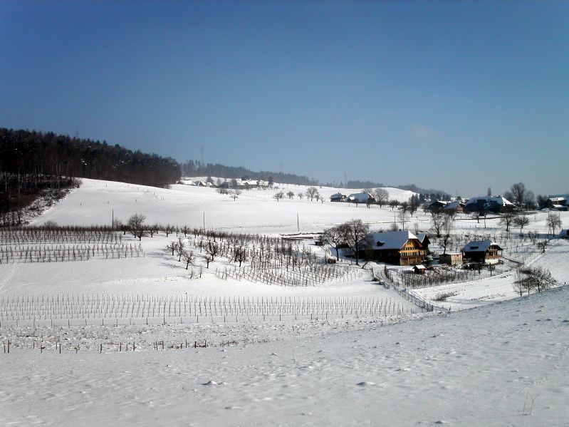 Hinter dem Mannenberg