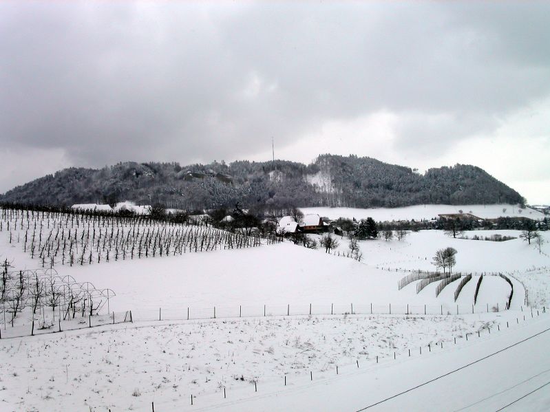 Hinter dem Mannenberg