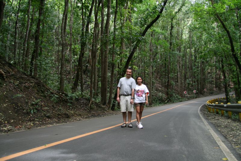 Man made forest