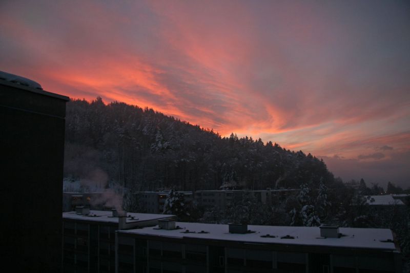Winterstimmung 2008