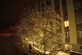 Winterstimmung 2008