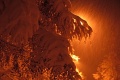 Winterstimmung 2008