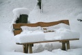 Winterstimmung 2008