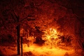 Winterstimmung 2008