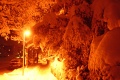 Winterstimmung 2008