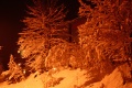 Winterstimmung 2008
