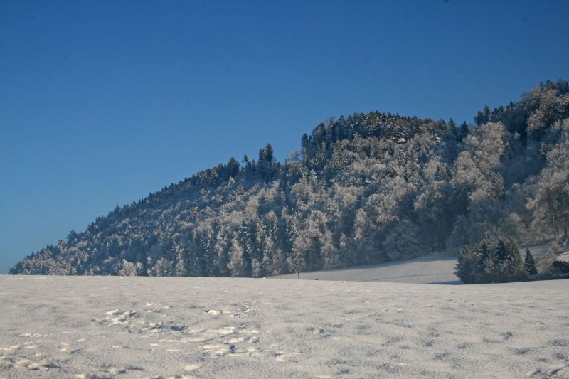 Habstetten