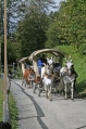 Ballenberg Kutsche