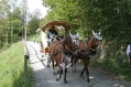 Ballenberg Kutsche