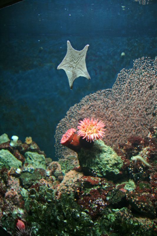 Zoo Basel