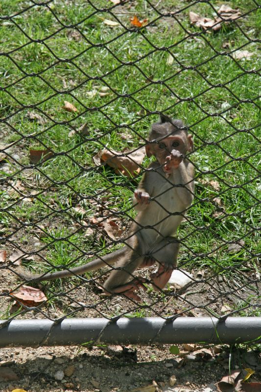 Zoo Basel