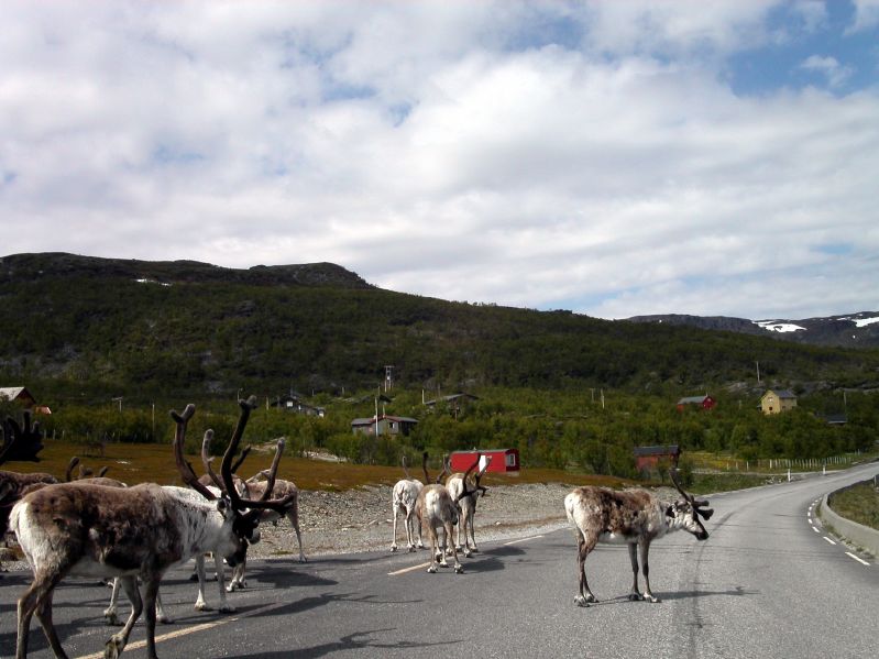 In der Nhe von Olderfjord