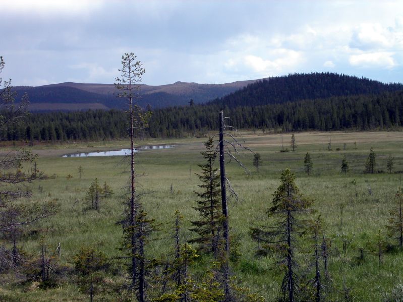 Near Jokkmokk