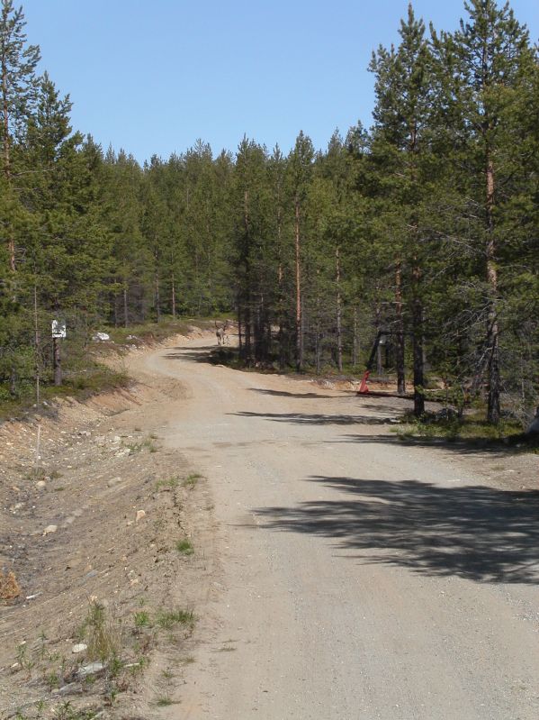 Pasvik valley