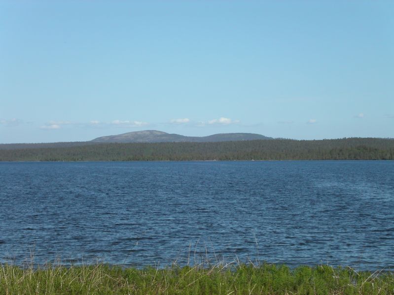 Pasvik valley