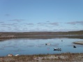 Srvaranger