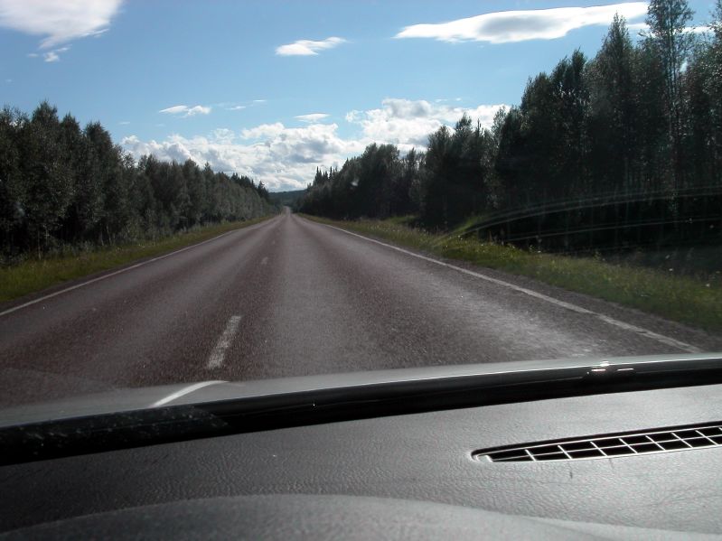 Between Vilhelmina and Dorotea