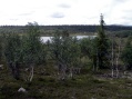 Between Tnns and Srna