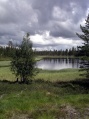 Between Tnns and Srna