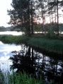 Orsa