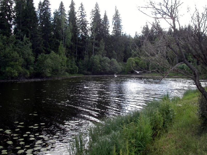 Zwischen Tampere und Jyvskyl