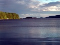 Koli