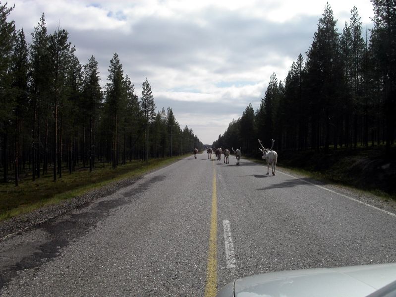 Zwischen Kuusamo und Sodankyl