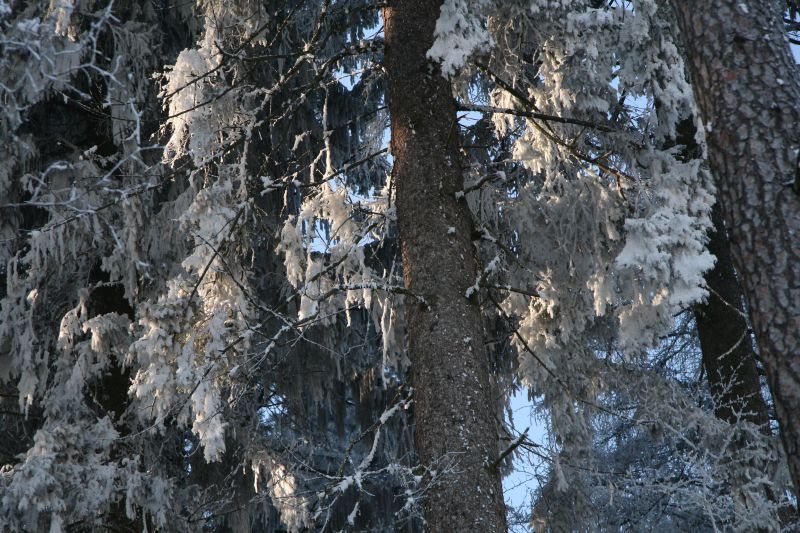 Light shining through