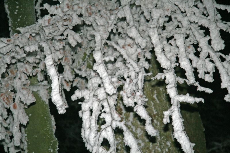 Hoarfrost by night