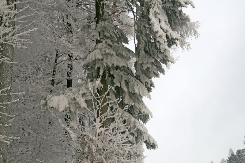 Hoarfrost