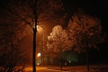 Winter night