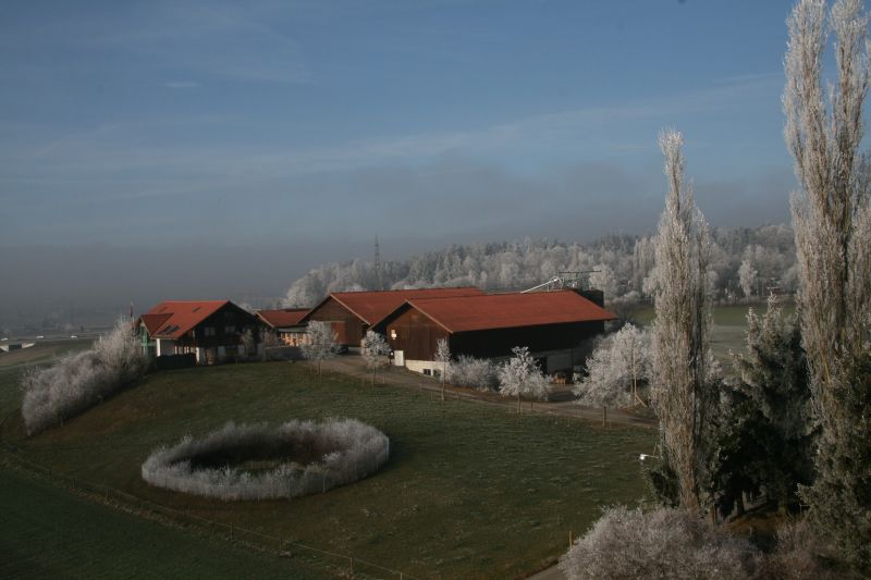 Nach dem Nebel Sonnenschein