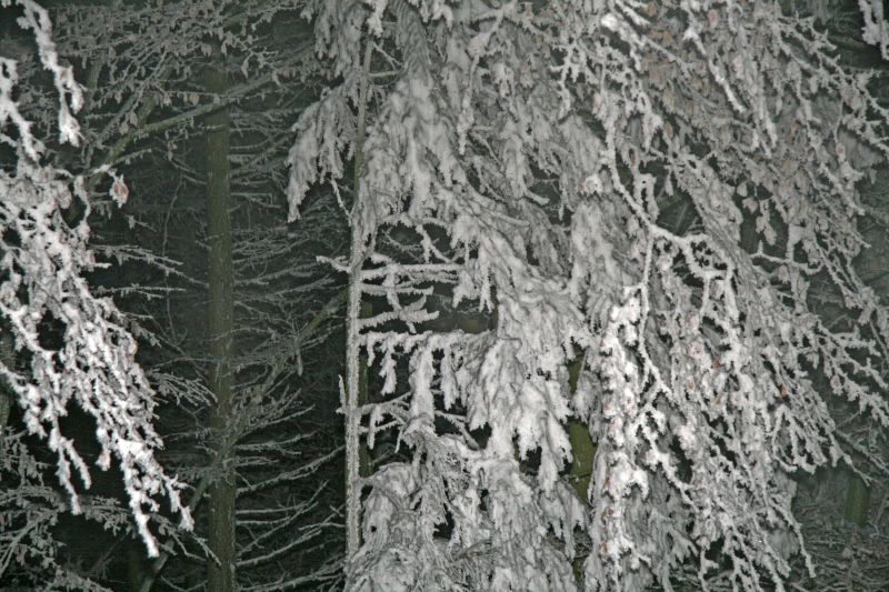 Rauhreif bei Nacht