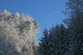 Blauer Himmel und Rauhreif