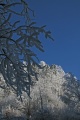 Beladene Aeste und blauer Himmel