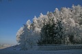 Beladene Bume und blauer Himmel